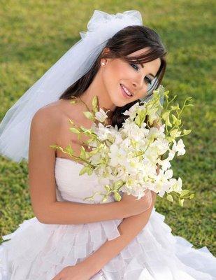 نانسي عجرم