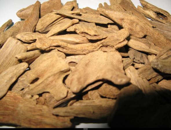 العود